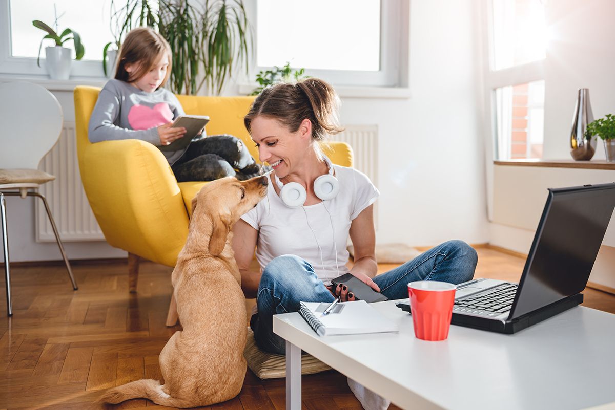 Web-based screen sharing can keep you productive while working from home, pets and kids notwithstanding.